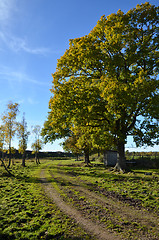 Image showing Countryside road