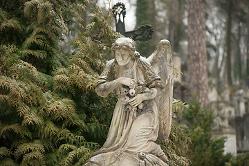 Image showing Lychakiv Cemetery