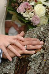 Image showing Wedding rings