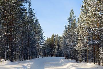 Image showing winter landscape