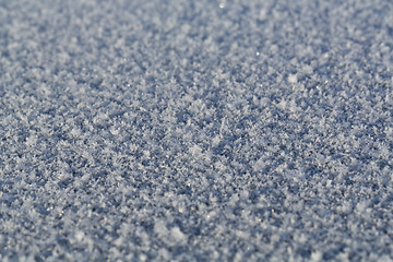 Image showing frost