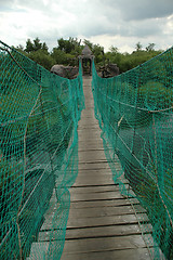 Image showing Bridge