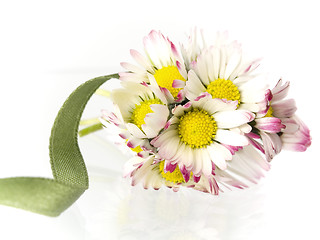 Image showing daisy