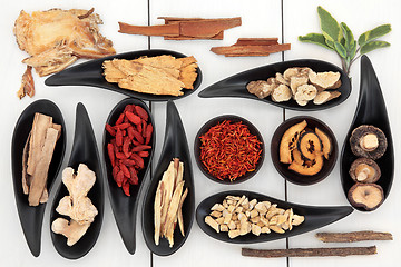 Image showing Chinese Medicine