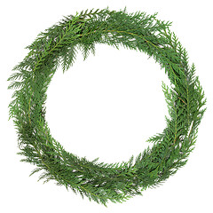 Image showing  Cedar Cypress Wreath