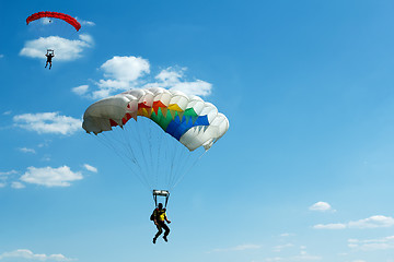 Image showing unidentified skydivers on blue sky