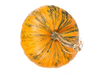 Image showing top view of fresh orange pumpkin