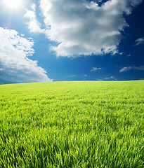 Image showing green grass under cloudy sky