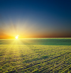 Image showing sunset over green field