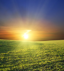 Image showing sunset over green field