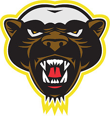 Image showing Honey Badger Mascot Head