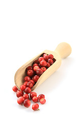 Image showing cranberry