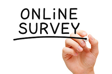 Image showing Online Survey