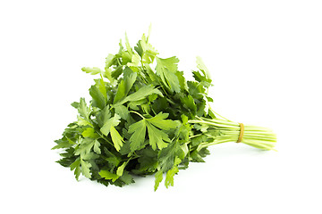 Image showing a bunch of parsley