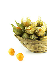 Image showing Cape gooseberry