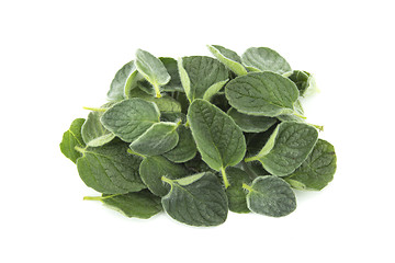 Image showing thyme herb