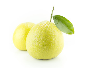 Image showing Bergamot oranges 