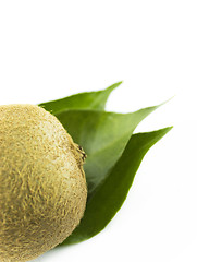 Image showing  kiwi fruit 