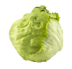 Image showing Green Iceberg lettuce