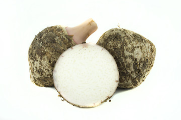 Image showing fresh taro root 