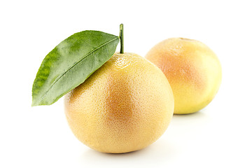Image showing Ripe appetizing grapefruit 