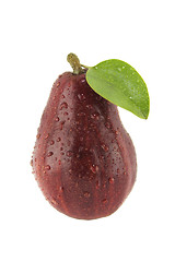 Image showing Fresh Red Pears