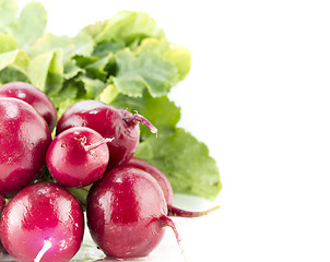 Image showing Small garden red radish