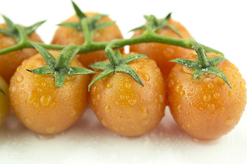Image showing fresh cherry tomatoes