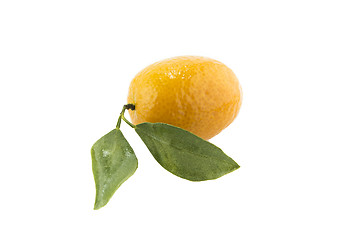 Image showing Sweet Small Orange 