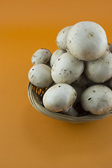 Image showing button mushrooms 