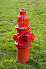 Image showing Red Fire Hydrant