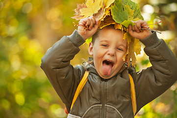 Image showing autumn baby boy