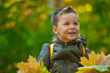 Image showing autumn baby boy