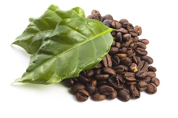 Image showing coffee grains and leaves