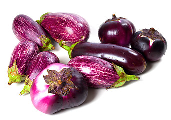 Image showing Different varieties of eggplant with water drops 