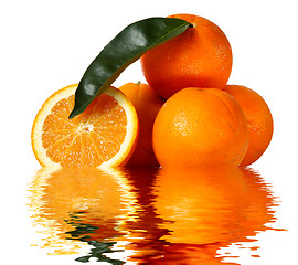 Image showing Oranges