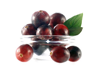 Image showing cranberries