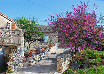 Image showing Stonehouse 2. Primosten, Croatia