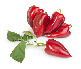 Image showing Red peppers and leaves