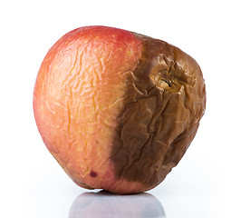 Image showing Rotten apple