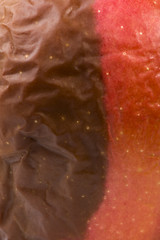 Image showing Rotten apple