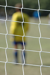Image showing Net and player