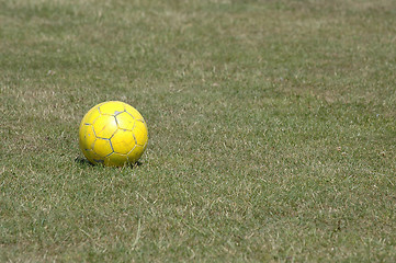 Image showing Yellow ball