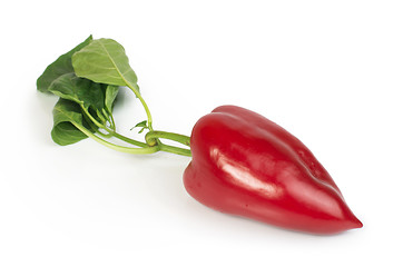 Image showing Red peppers and leaves