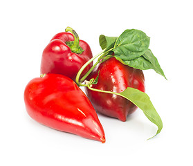 Image showing Red peppers and leaves