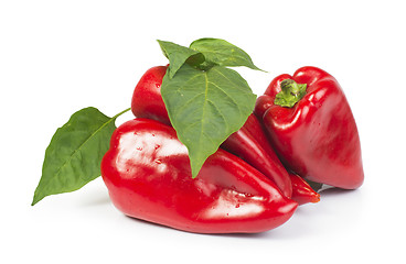 Image showing Red peppers and leaves