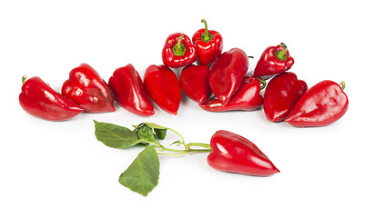 Image showing Red peppers and leaves