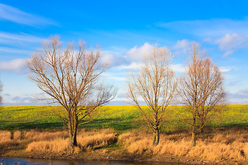 Image showing Autumn Landscape In Sunny Day