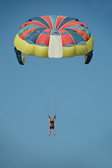 Image showing Paraglider