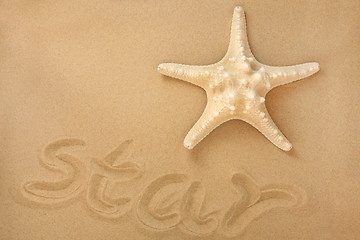 Image showing Sea Star 